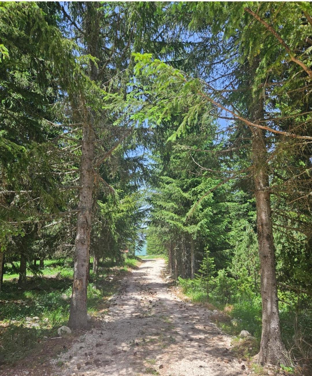 Vikendice Preradovic Villa Zabljak  Bagian luar foto